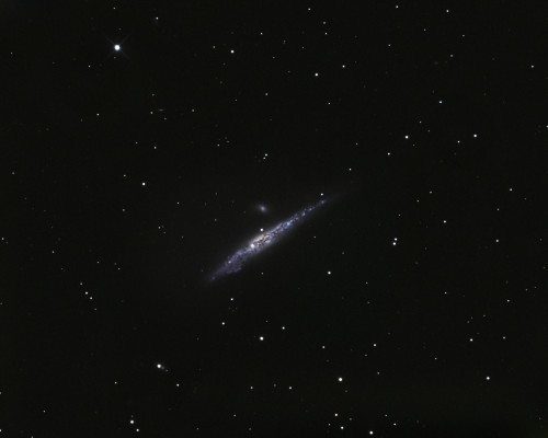 NGC4631