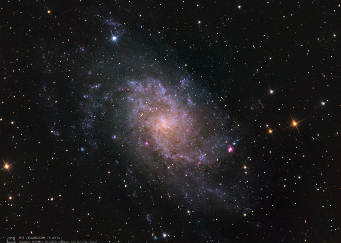 Галактика "Треугольника" (M 33) Фотография объекта