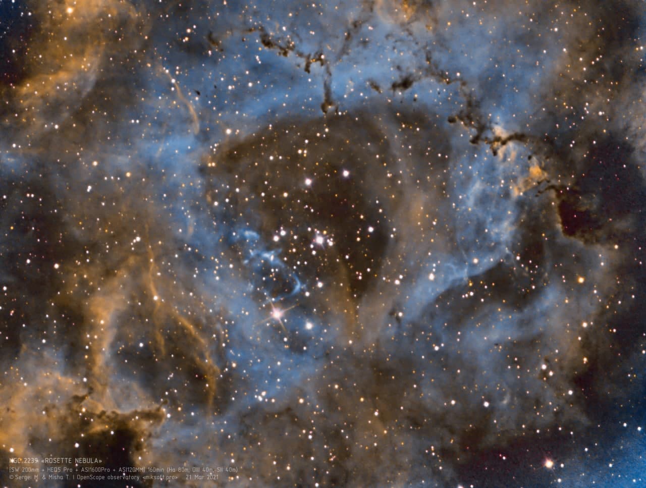 Туманность "Розетка" (NGC 2239) Фотография объекта