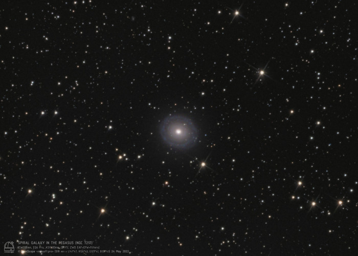 Спиральная галактика в созвездии Пегас  Фотография объекта